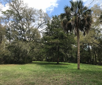 0 NW 224th Street High Springs, FL 32643