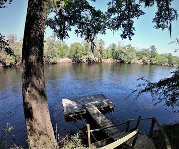 276 Stephens Road Mayo, FL 32066