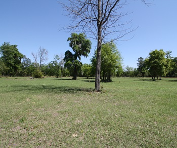 0 SW Coles Court Fort White, FL 32038