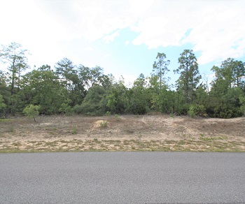 3617 W Parkview Drive Citrus Springs, FL 34433