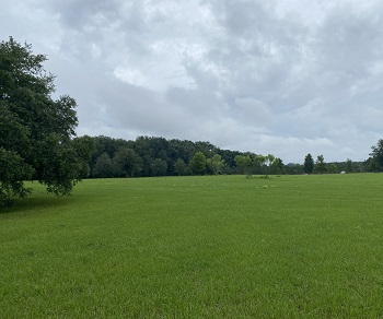 19553 140th Place Live Oak, FL 32060