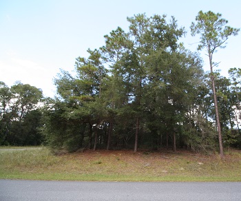 949 W Virginis Drive Citrus Springs, FL 34433