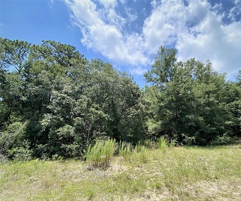 7968 NW Hillview Circle Citrus Springs, FL 34434