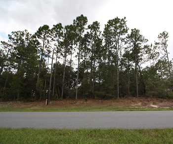 8680 NW Paradisea Drive Citrus Springs, FL 34433