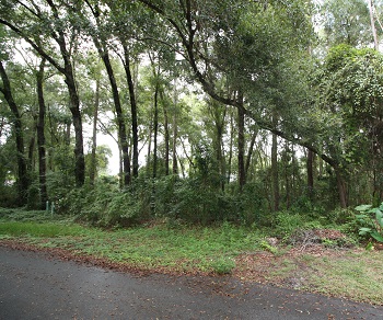 0 SW 91st Loop Dunnellon, FL 34432