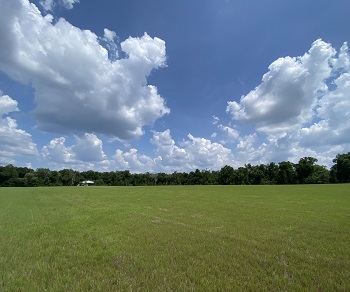 175 SW Mount Hope Drive Fort White, FL 32003