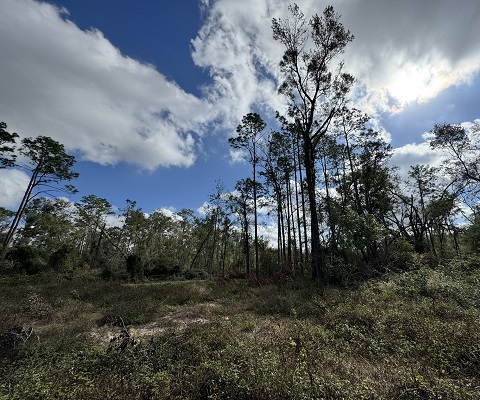 0 143rd Drive O Brien, FL 32071