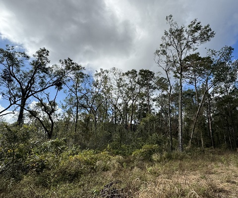 0 143rd Drive O Brien, FL 32071