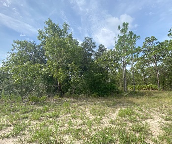 3012 W Andromedae Drive Dunnellon, FL 34433
