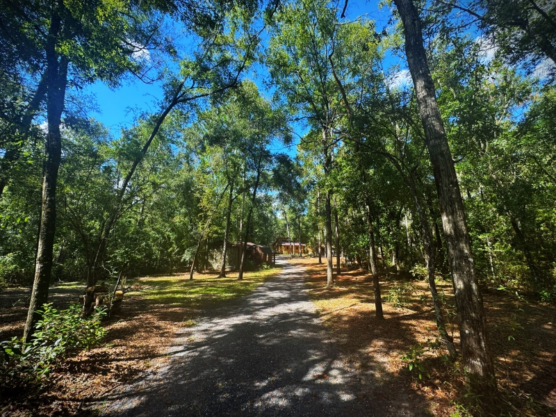 4343 288th Terrace Branford, FL 32008