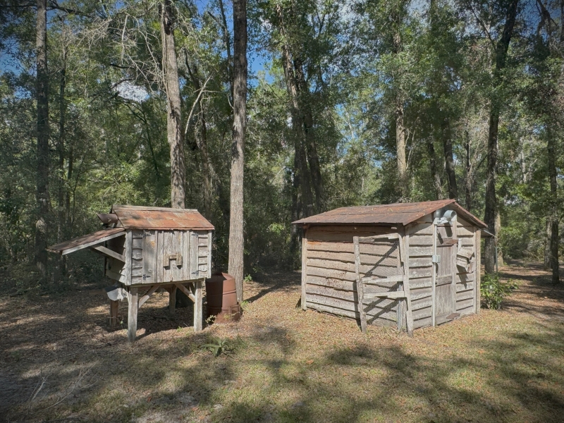 4343 288th Terrace Branford, FL 32008